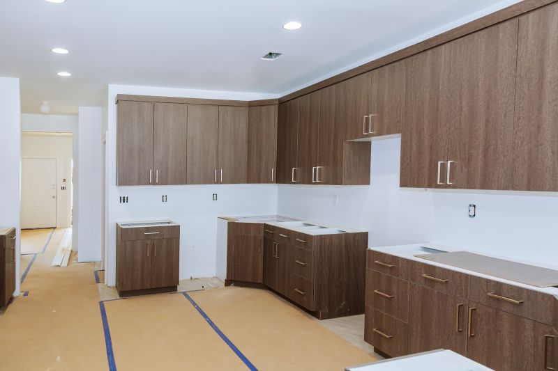 Modern Kitchen Cabinets